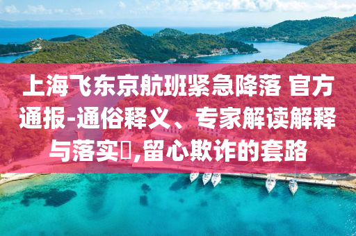 上海飛東京航班緊急降落 官方通報(bào)-通俗釋義、專家解讀解釋與落實(shí)?,留心欺詐的套路