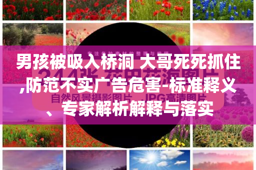 男孩被吸入橋洞 大哥死死抓住,防范不實廣告危害-標準釋義、專家解析解釋與落實