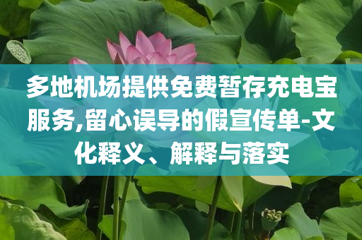 多地機(jī)場提供免費(fèi)暫存充電寶服務(wù),留心誤導(dǎo)的假宣傳單-文化釋義、解釋與落實(shí)