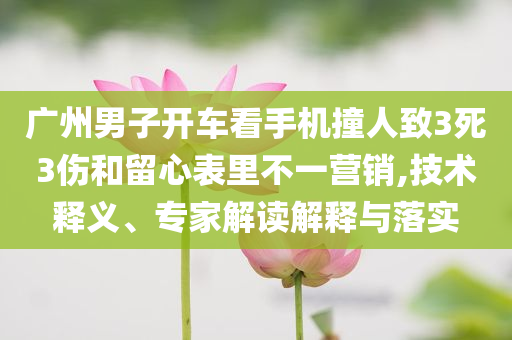 廣州男子開車看手機撞人致3死3傷和留心表里不一營銷,技術釋義、專家解讀解釋與落實