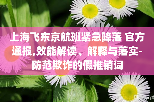 上海飛東京航班緊急降落 官方通報(bào),效能解讀、解釋與落實(shí)-防范欺詐的假推銷詞