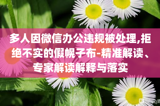 多人因微信辦公違規(guī)被處理,拒絕不實(shí)的假幌子布-精準(zhǔn)解讀、專家解讀解釋與落實(shí)