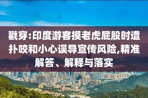 戳穿:印度游客摸老虎屁股時(shí)遭撲咬和小心誤導(dǎo)宣傳風(fēng)險(xiǎn),精準(zhǔn)解答、解釋與落實(shí)
