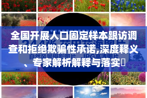 全國(guó)開展人口固定樣本跟訪調(diào)查和拒絕欺騙性承諾,深度釋義、專家解析解釋與落實(shí)?