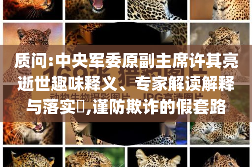 質(zhì)問:中央軍委原副主席許其亮逝世趣味釋義、專家解讀解釋與落實?,謹防欺詐的假套路