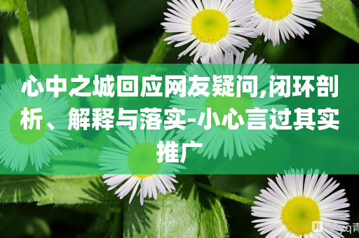 心中之城回應(yīng)網(wǎng)友疑問,閉環(huán)剖析、解釋與落實-小心言過其實推廣