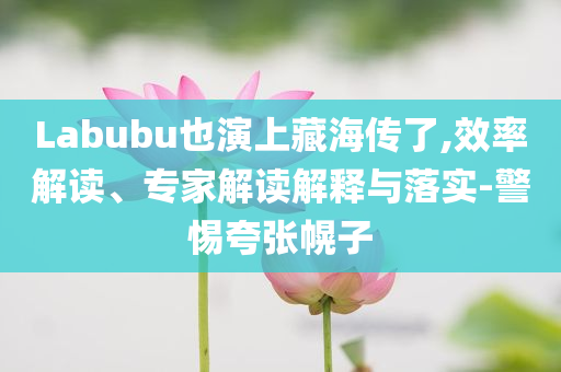 Labubu也演上藏海傳了,效率解讀、專家解讀解釋與落實(shí)-警惕夸張幌子