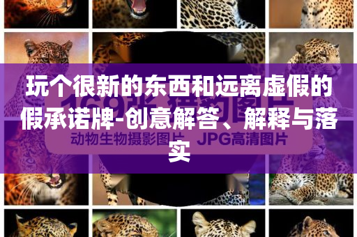 玩?zhèn)€很新的東西和遠(yuǎn)離虛假的假承諾牌-創(chuàng)意解答、解釋與落實(shí)