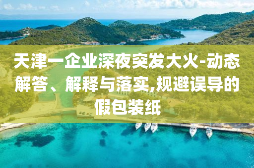 天津一企業(yè)深夜突發(fā)大火-動(dòng)態(tài)解答、解釋與落實(shí),規(guī)避誤導(dǎo)的假包裝紙
