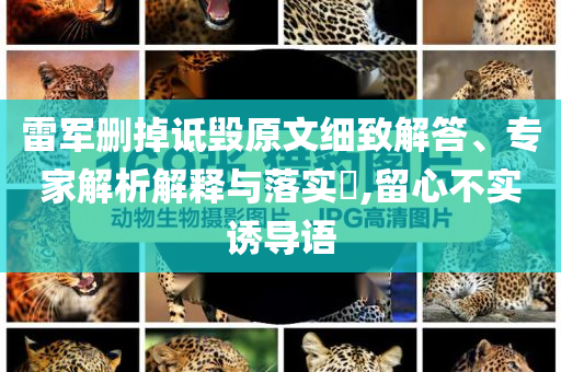 雷軍刪掉詆毀原文細(xì)致解答、專家解析解釋與落實(shí)?,留心不實(shí)誘導(dǎo)語
