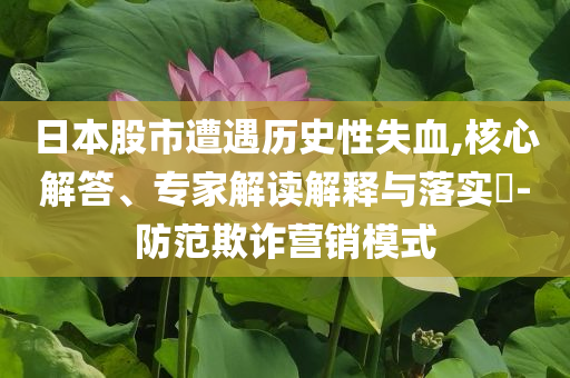 日本股市遭遇歷史性失血,核心解答、專家解讀解釋與落實(shí)?-防范欺詐營銷模式