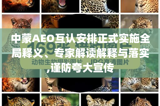 中蒙AEO互認安排正式實施全局釋義、專家解讀解釋與落實,謹防夸大宣傳