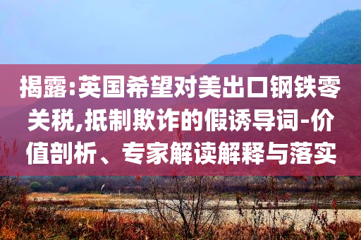 揭露:英國希望對美出口鋼鐵零關稅,抵制欺詐的假誘導詞-價值剖析、專家解讀解釋與落實