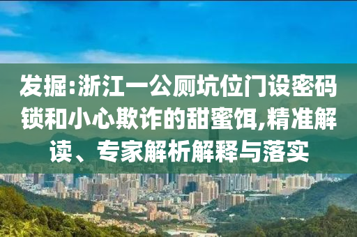 發(fā)掘:浙江一公廁坑位門(mén)設(shè)密碼鎖和小心欺詐的甜蜜餌,精準(zhǔn)解讀、專家解析解釋與落實(shí)