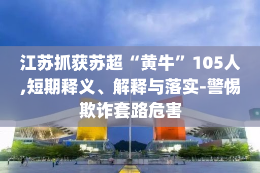 江蘇抓獲蘇超“黃?！?05人,短期釋義、解釋與落實-警惕欺詐套路危害