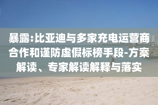暴露:比亞迪與多家充電運營商合作和謹(jǐn)防虛假標(biāo)榜手段-方案解讀、專家解讀解釋與落實