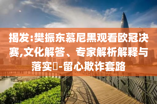 揭發(fā):樊振東慕尼黑觀看歐冠決賽,文化解答、專家解析解釋與落實?-留心欺詐套路