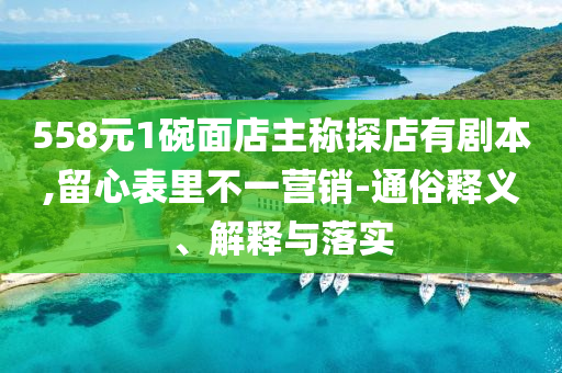 558元1碗面店主稱探店有劇本,留心表里不一營銷-通俗釋義、解釋與落實(shí)