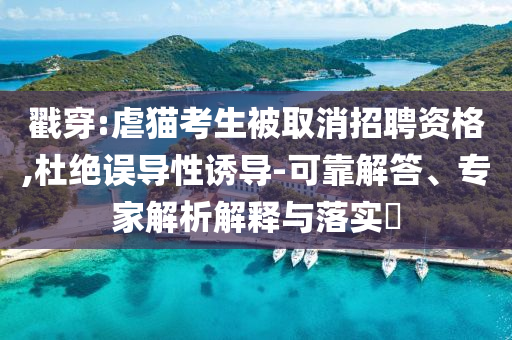 戳穿:虐貓考生被取消招聘資格,杜絕誤導(dǎo)性誘導(dǎo)-可靠解答、專家解析解釋與落實(shí)?