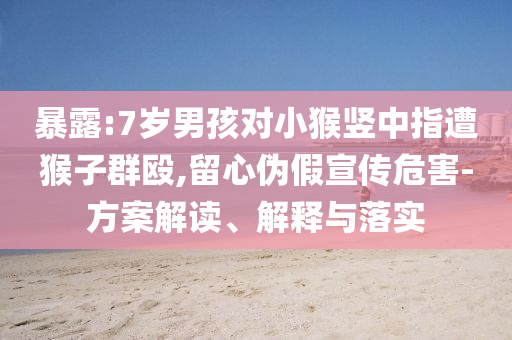 暴露:7歲男孩對(duì)小猴豎中指遭猴子群毆,留心偽假宣傳危害-方案解讀、解釋與落實(shí)