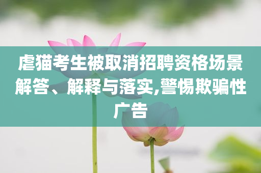 虐貓考生被取消招聘資格場景解答、解釋與落實(shí),警惕欺騙性廣告