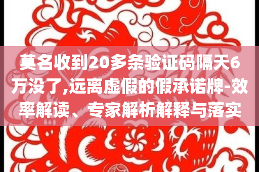 莫名收到20多條驗(yàn)證碼隔天6萬(wàn)沒(méi)了,遠(yuǎn)離虛假的假承諾牌-效率解讀、專家解析解釋與落實(shí)