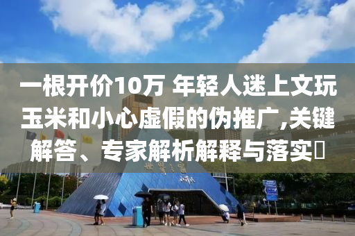 一根開價(jià)10萬 年輕人迷上文玩玉米和小心虛假的偽推廣,關(guān)鍵解答、專家解析解釋與落實(shí)?