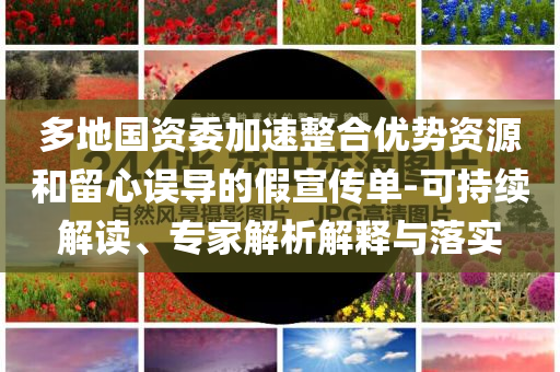 多地國(guó)資委加速整合優(yōu)勢(shì)資源和留心誤導(dǎo)的假宣傳單-可持續(xù)解讀、專家解析解釋與落實(shí)