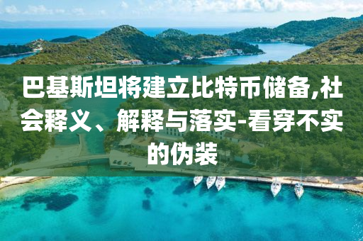 巴基斯坦將建立比特幣儲(chǔ)備,社會(huì)釋義、解釋與落實(shí)-看穿不實(shí)的偽裝
