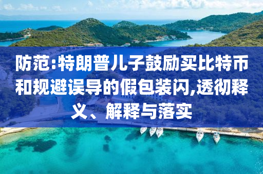 防范:特朗普兒子鼓勵(lì)買比特幣和規(guī)避誤導(dǎo)的假包裝閃,透徹釋義、解釋與落實(shí)