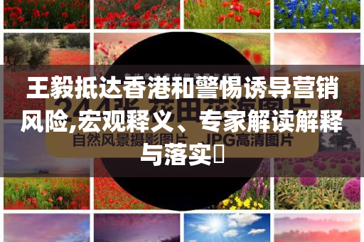 王毅抵達香港和警惕誘導(dǎo)營銷風(fēng)險,宏觀釋義、專家解讀解釋與落實?