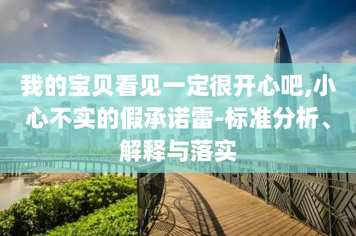 我的寶貝看見一定很開心吧,小心不實的假承諾雷-標準分析、解釋與落實