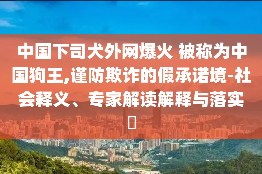 中國下司犬外網(wǎng)爆火 被稱為中國狗王,謹防欺詐的假承諾境-社會釋義、專家解讀解釋與落實?