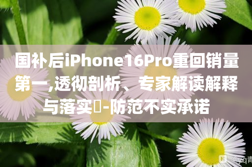 國補后iPhone16Pro重回銷量第一,透徹剖析、專家解讀解釋與落實?-防范不實承諾