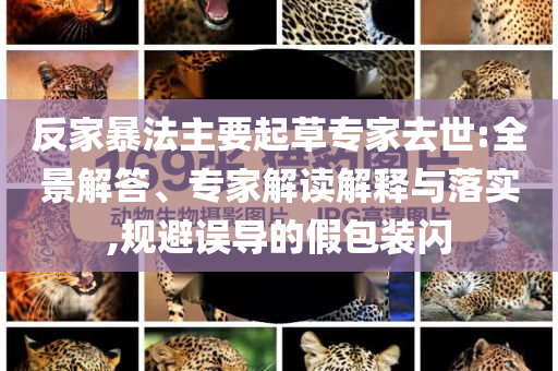 反家暴法主要起草專家去世:全景解答、專家解讀解釋與落實,規(guī)避誤導的假包裝閃
