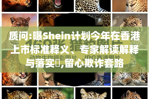質(zhì)問:曝Shein計劃今年在香港上市標(biāo)準(zhǔn)釋義、專家解讀解釋與落實?,留心欺詐套路