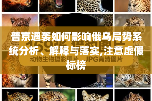 普京遇襲如何影響俄烏局勢系統(tǒng)分析、解釋與落實(shí),注意虛假標(biāo)榜