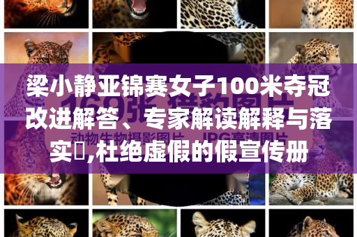 梁小靜亞錦賽女子100米奪冠改進(jìn)解答、專家解讀解釋與落實(shí)?,杜絕虛假的假宣傳冊