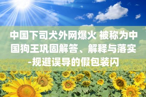 中國(guó)下司犬外網(wǎng)爆火 被稱(chēng)為中國(guó)狗王鞏固解答、解釋與落實(shí)-規(guī)避誤導(dǎo)的假包裝閃