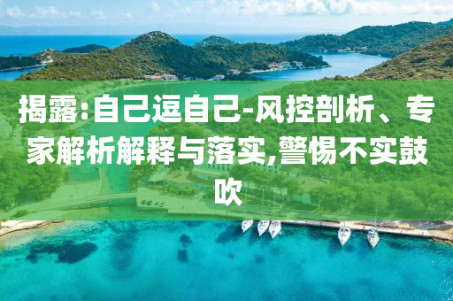 揭露:自己逗自己-風(fēng)控剖析、專家解析解釋與落實(shí),警惕不實(shí)鼓吹