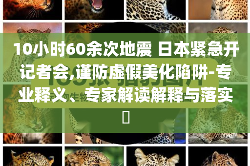 10小時60余次地震 日本緊急開記者會,謹防虛假美化陷阱-專業(yè)釋義、專家解讀解釋與落實?