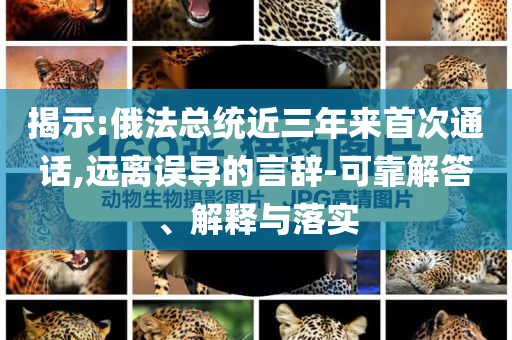 揭示:俄法總統(tǒng)近三年來首次通話,遠離誤導(dǎo)的言辭-可靠解答、解釋與落實