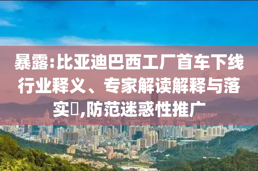 暴露:比亞迪巴西工廠首車下線行業(yè)釋義、專家解讀解釋與落實?,防范迷惑性推廣
