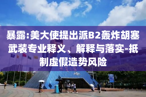 暴露:美大使提出派B2轟炸胡塞武裝專業(yè)釋義、解釋與落實(shí)-抵制虛假造勢(shì)風(fēng)險(xiǎn)