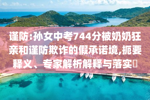 謹(jǐn)防:孫女中考744分被奶奶狂親和謹(jǐn)防欺詐的假承諾境,扼要釋義、專家解析解釋與落實(shí)?