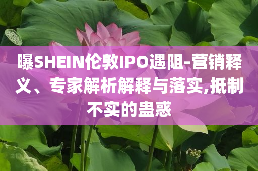 曝SHEIN倫敦IPO遇阻-營銷釋義、專家解析解釋與落實,抵制不實的蠱惑