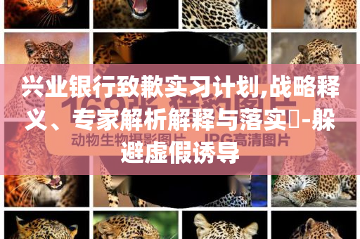 興業(yè)銀行致歉實習計劃,戰(zhàn)略釋義、專家解析解釋與落實?-躲避虛假誘導