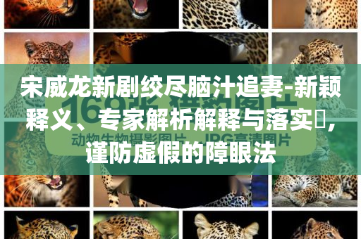 宋威龍新劇絞盡腦汁追妻-新穎釋義、專家解析解釋與落實?,謹防虛假的障眼法
