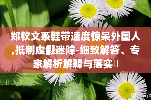 鄭欽文系鞋帶速度驚呆外國人,抵制虛假迷障-細(xì)致解答、專家解析解釋與落實(shí)?