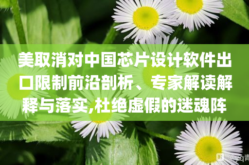 美取消對中國芯片設計軟件出口限制前沿剖析、專家解讀解釋與落實,杜絕虛假的迷魂陣